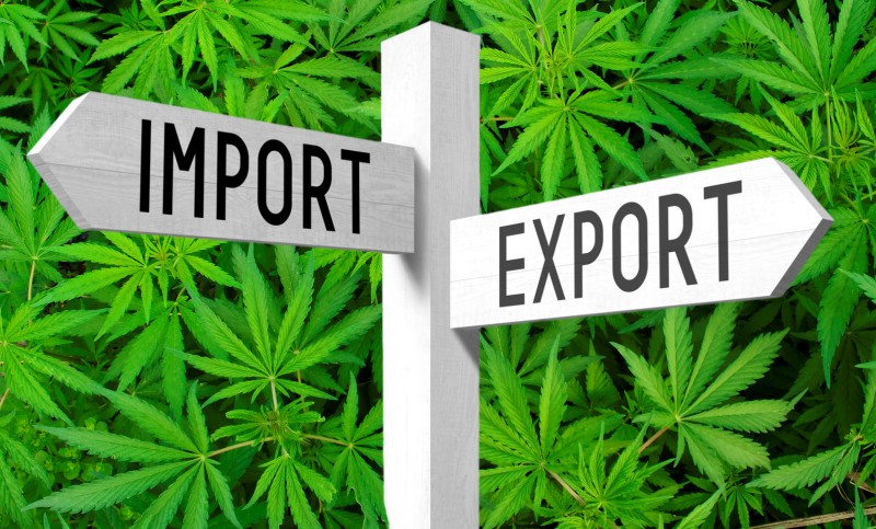 import export marijuana trade