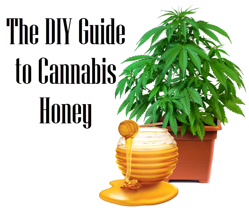 The DIY Guide To Making Cannabis-Infused Honey