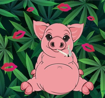 Schedule 3 for Cannabis - What Lipstick on a Pig Actually Looks Like