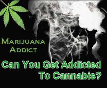 Can You Get Addicted To Cannabis?