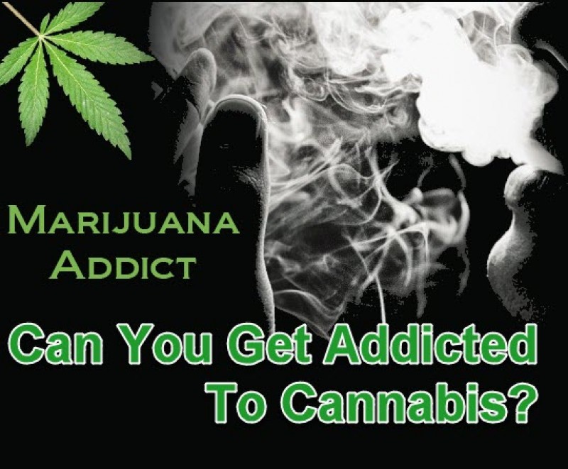 addicted to marijuana