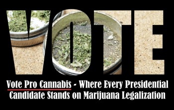 Vote Pro Cannabis - Where Every Presidential Candidate Stands on Marijuana Legalization