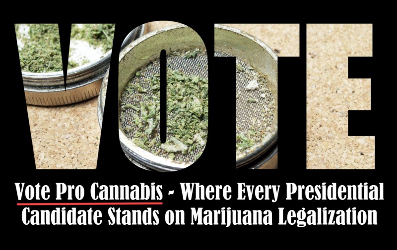 vote pro marijuana candidates