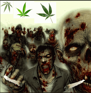 Hoarding Weed Seeds for the Imminent Zombie Apocalypse