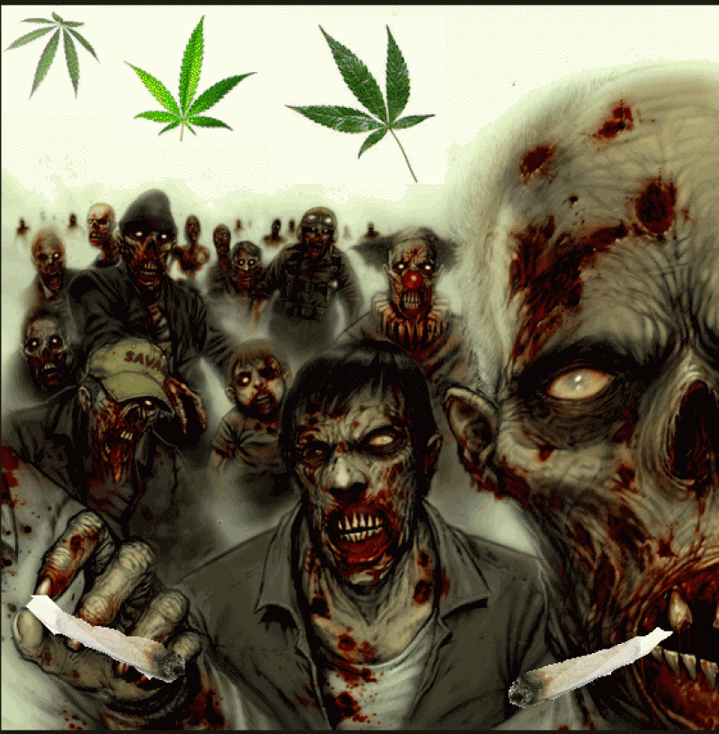 Marijuana Zombies