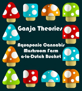 Aquaponic Cannabis Mushroom Farm a-la-Dutch Bucket - Ganja Theories