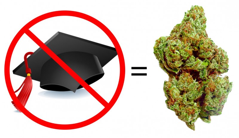 no college degree for a cannabis job