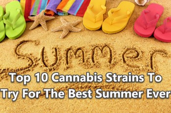 Top 10 Cannabis Strains To Try For The Best Summer Ever
