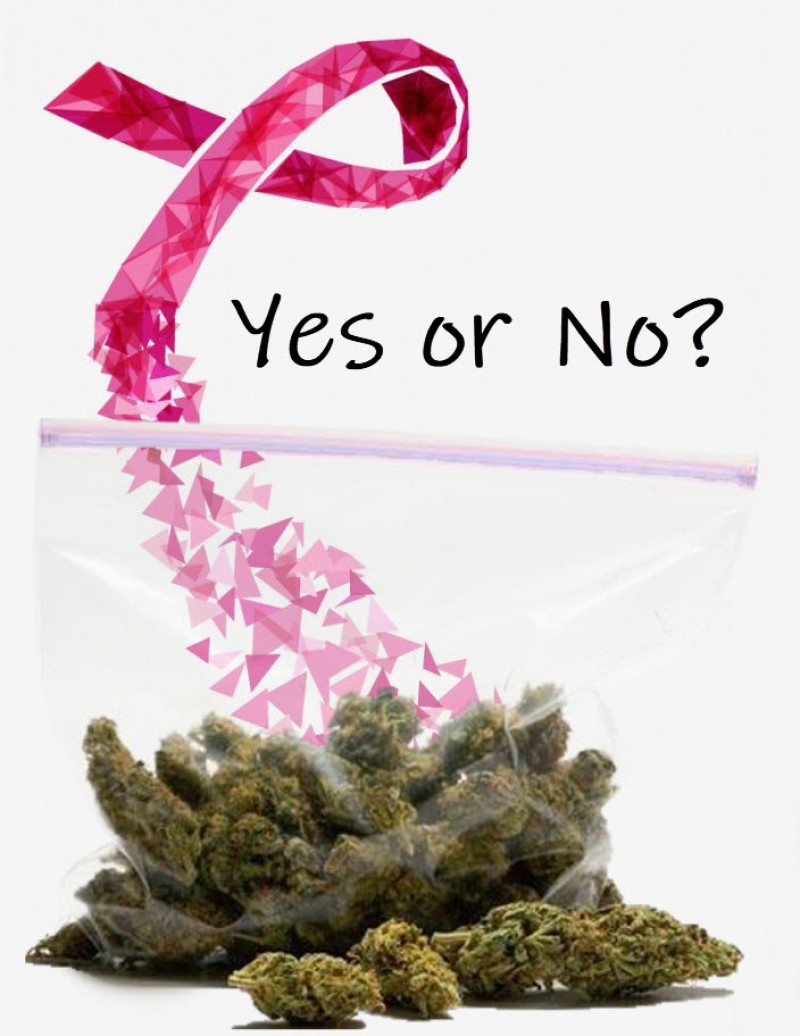 cannabis during breast cancer treatments