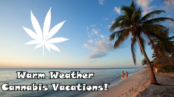 Warm Weather Cannatourism Destinations for Your Summer Vacation