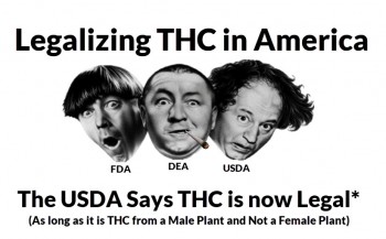 Legalizing THC in the USA – Moe, Larry and Curly Strike, Again.