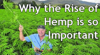 Why the Rise of Hemp is so Important