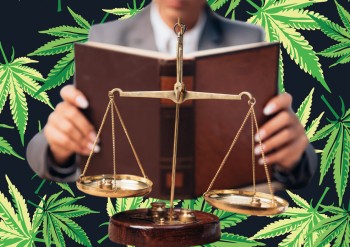 To THCA or Not to THCA, That is the Question - DEA Says THCA is Not Legal Under the Farm Bill, Marijuana Industry Doth Protest!