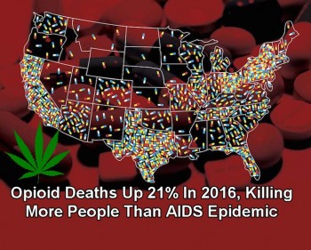 Opioid Deaths Up 21% In 2016, Killing More People Than AIDS Epidemic