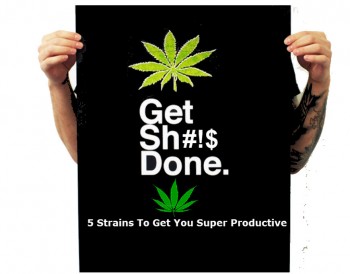 5 Strains To Keep You Super Productive