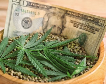 The Selling Seeds to Customers Debate - Price-Senstive Cannabis Customers Find Planting Your Own Seeds Is Way Cheaper