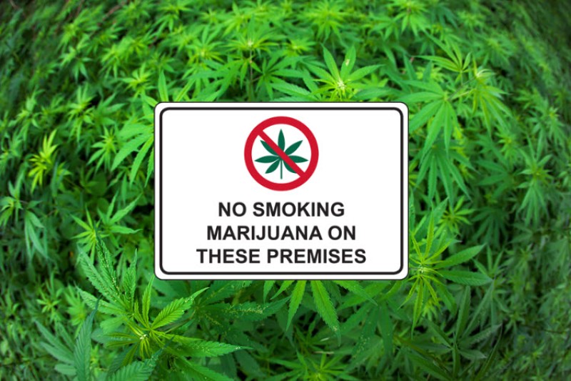 non smoking weed