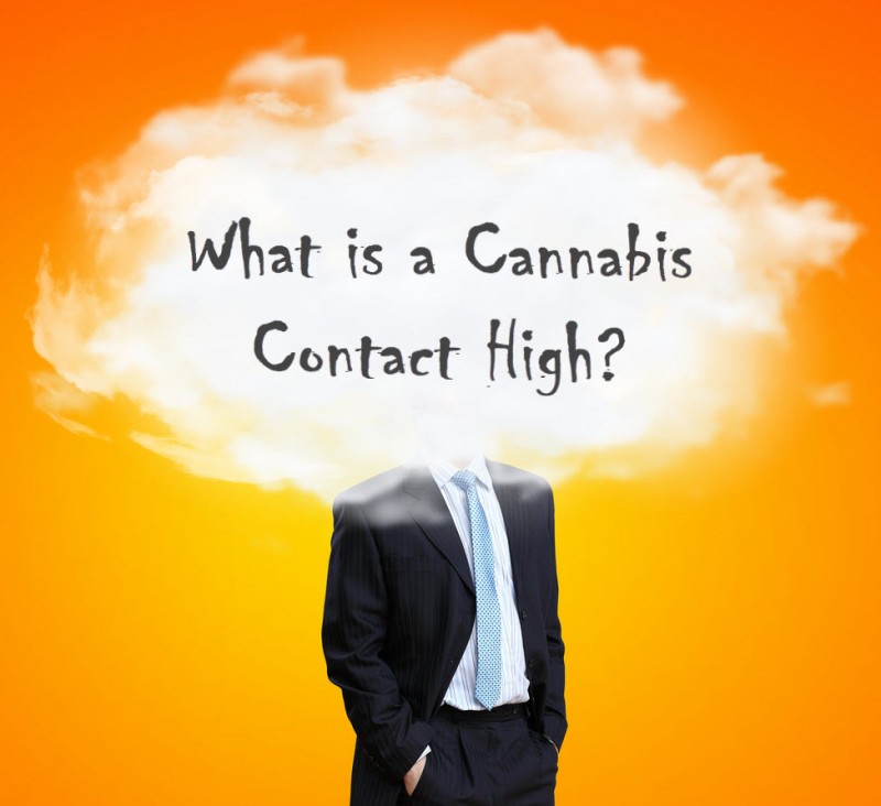 What is a Cannabis Contact High?