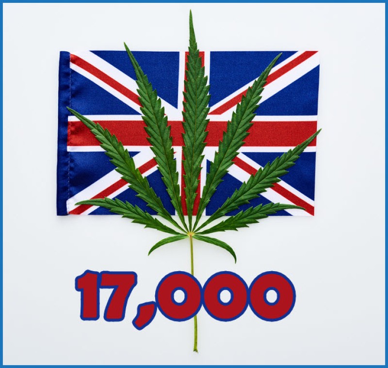 There Are 17,000 Medical Marijuana Patients in the UK and Many of Them Still Use the Illicit Market for Weed?