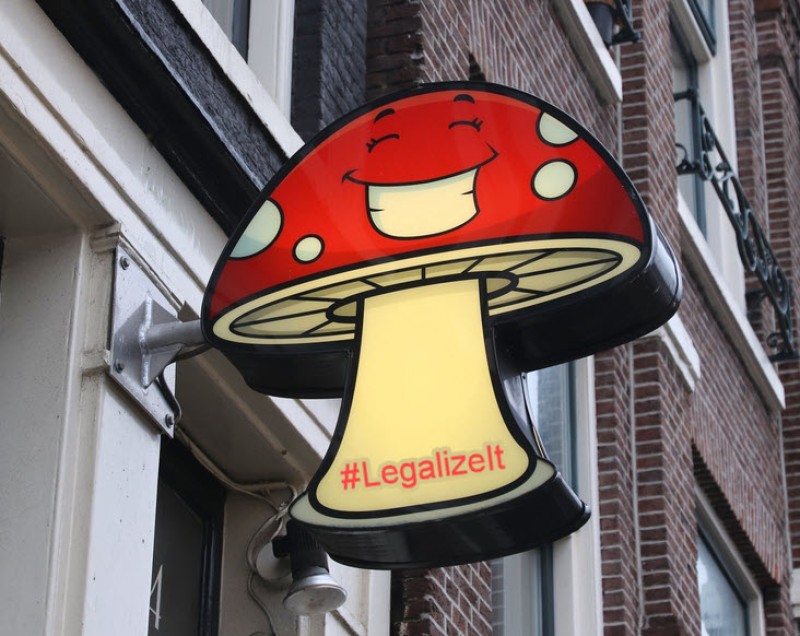 legalize mushrooms