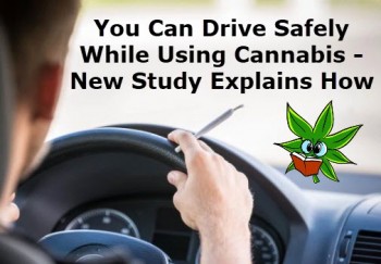 You Can Drive Safely While Using Cannabis - New Study Explains How