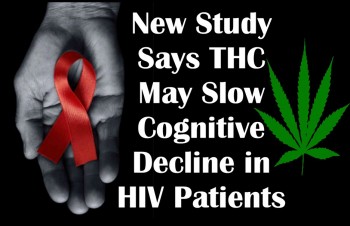New Study Says THC May Slow Cognitive Decline in HIV Patients