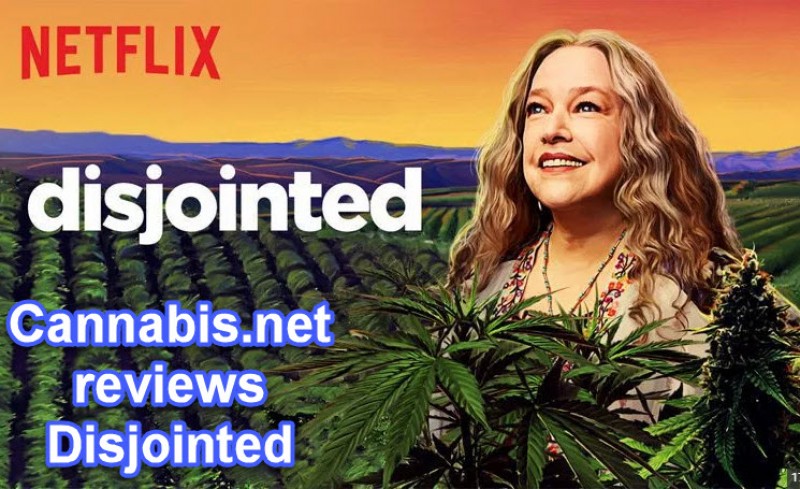 disjointed review