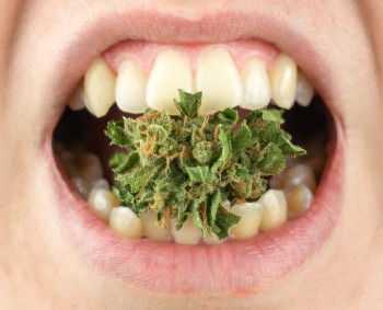 CBD is Coming to Your Dentist's Office - The Benefits of CBD for Dentistry and Oral Health