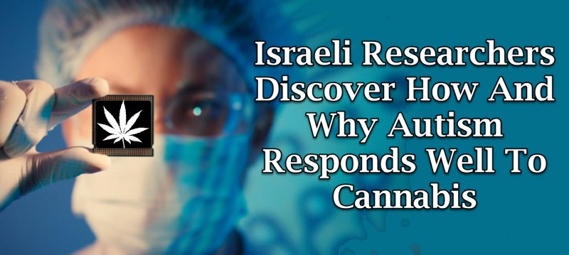 Israeli Research on cannabis and autism