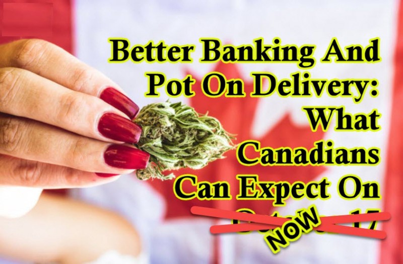 Canadian Cannabis Oct 17
