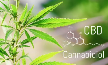 6 Possible Benefits of CBD That Doctors are Studying Right Now