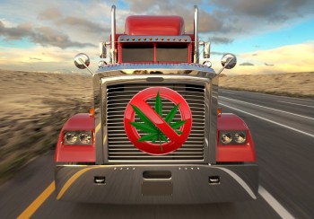 DOT Reports over 70,000 Truckers Have Tested Positive for Cannabis in the Last 36 Months