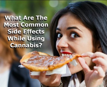 5 Common Side Effects While Using Cannabis