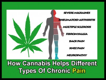 How Cannabis Helps Different Types Of Chronic Pain