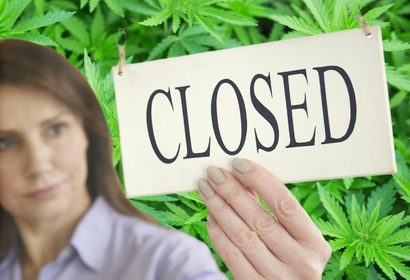 marijuana stores closing up