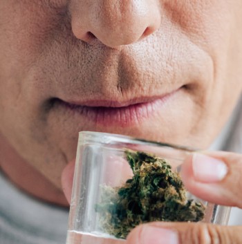 Close Your Eyes and Smell It! - Can You Tell If Your Weed Is Indica or Sativa By Just Smelling It?