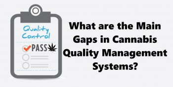 What are the Main Gaps in Cannabis Quality Management Systems?