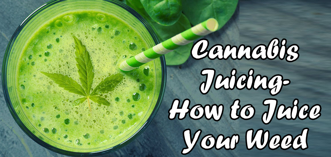 Juicing Cannabis 101 Weekend Brunch Edition