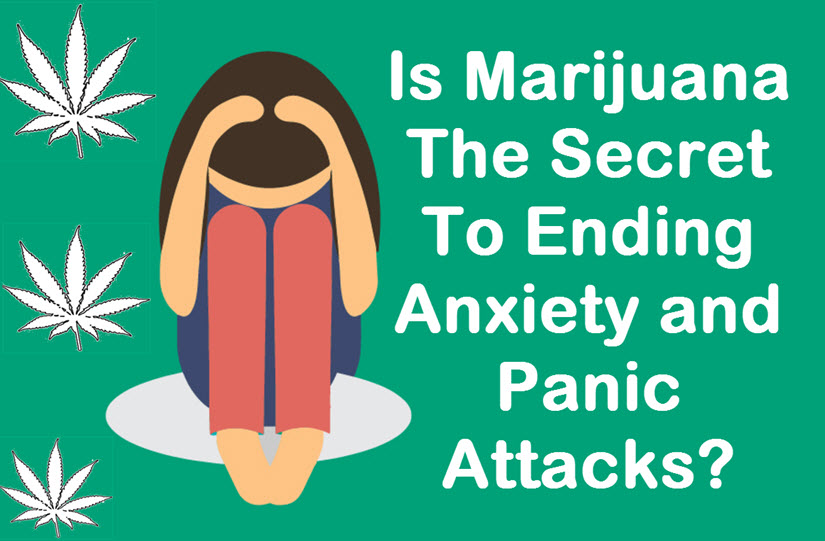 Is Marijuana The Secret To Ending Anxiety and Panic Attacks?