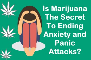 Is Marijuana The Secret To Ending Anxiety and Panic Attacks?