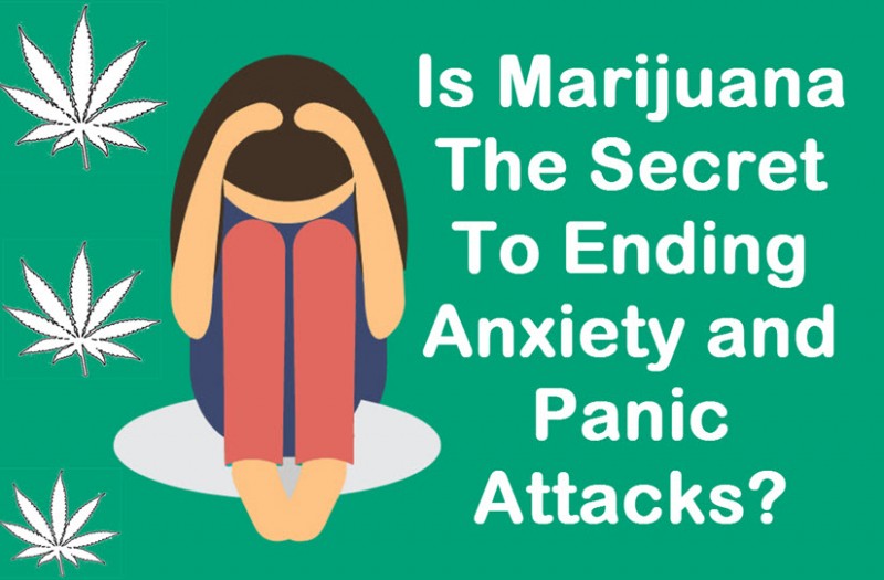 cannabis for anxiety