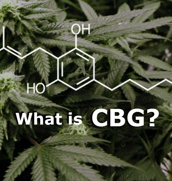 What Does Cannabigerol (CBG) Cannabinoid Do? | Green 