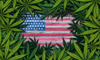 The Department of Justice and DEA Just Issued a Federal Cannabis License to Grow and Sell Weed