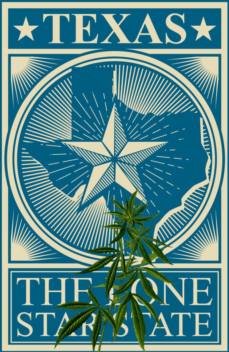 texas SB3 thc vote