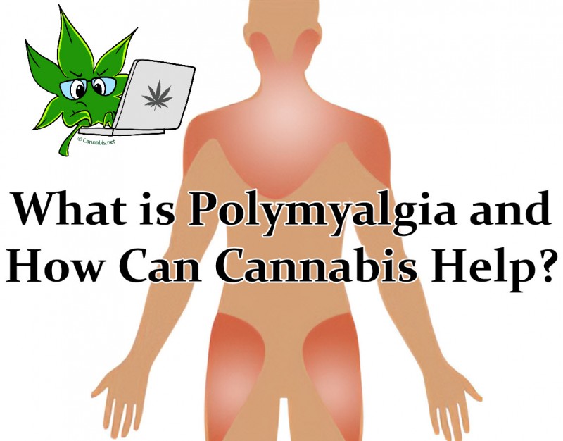 Polymyalgia and cannabis