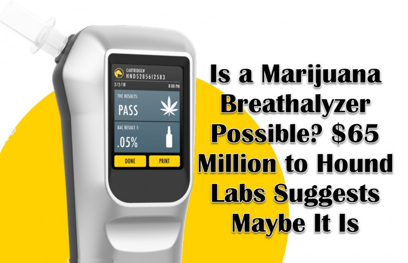 marijuana breathalyzer Hound Labs