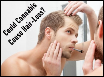 Could Cannabis Cause Hair Loss?