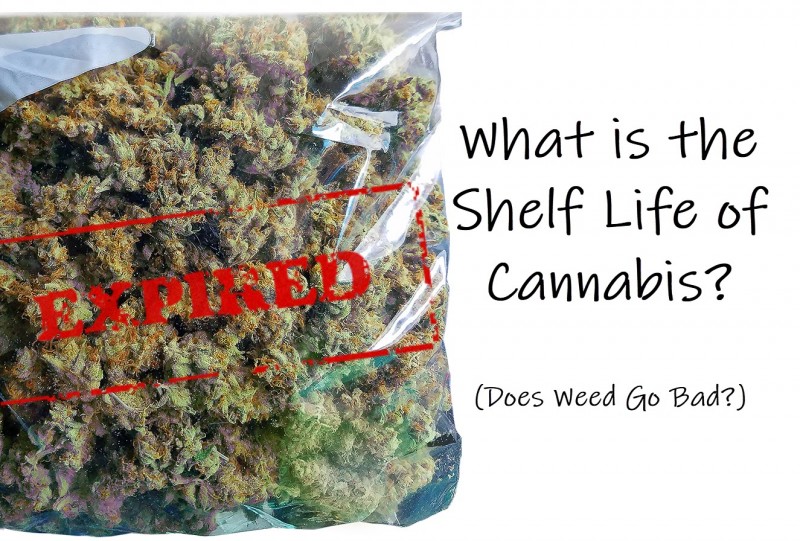 shelf life of marijuana