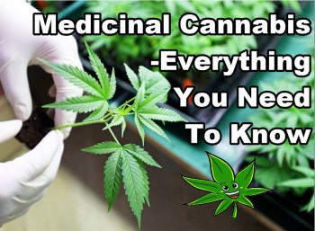 Medicinal Cannabis | Everything You Need To Know