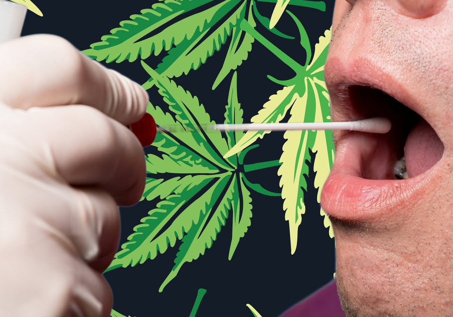 How Long Does Weed Stay In Your Saliva? - Mouth Swab Drug Test Guide